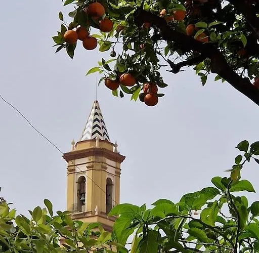 New Chic Walk To Rdr387 * 에스테포나