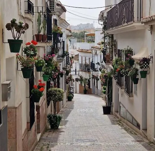 New Chic Walk To Rdr387