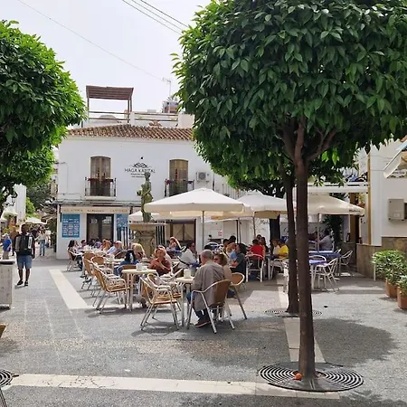 New Chic Walk To Rdr387