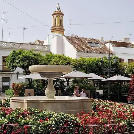 New Chic Walk To Rdr387